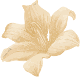 Full Body Massage in Jaynagar Kalaburagi